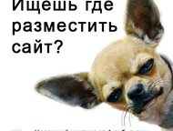 Хостинг сайтов, регистрация доменов •популярную панель управления хостингом – cPanel;  •поддержку функционирования сервис хостинга сайтов (PHP (v4) - , Челябинск - Доменные имена