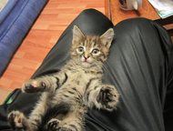 :    (  )    2     ,       ,  !   
