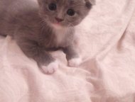        ,  1 ,  , ,  -    