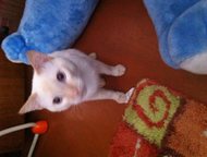       ,   ! , , ,   ,  ,     ,  1, 5 ,  -  