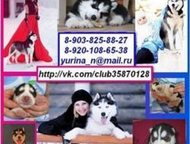      -    !
  5  ) 
    -  ,  -  ,  