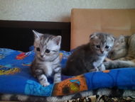 :          ,   ,   2000,   1   2,   