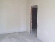 :  ,    1-    ,   , ,  ,  
