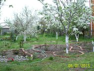 ������: ������� ��������� ������� � ��������� ���� �� ������������ � �, ������,����������� ���������, 2000 �. ���������, ������������, 3 ��. , ��. 206 ��. �. 