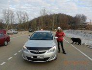 :             ,   Opel Astra,  