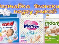 ���������� �� ������ � ���������, ���������, �������� � ��������� �������� ������� ���������� ���������� � ��������� � ��������, �����, ��������, ����, ������ - ������