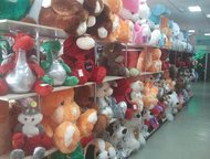 :       - ,      .     19 