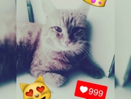 :     ! 27  2015       .   . 
 : ,  , 