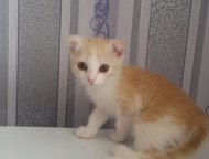 :   5   . 1, 5,      . , ,    !  ! 
    