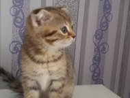 :   5   . 1, 5,      . , ,    !  ! 
    