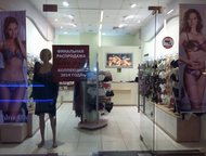     ! 
        .     alina ,  -  
