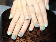 : , , Shellac   :  (, , , , , , spa),  ( ,