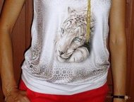 :     -  , D&G     -  , D&G
 
 : 1785
 
 : ,   