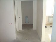 --:      ,  , , 3-       .  . . 3- . 
