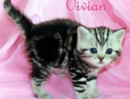 :         Vivian      Vivian     