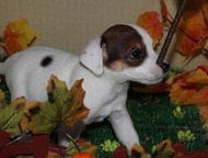 �����-7 (��������-20): ����� ���� ������ ���������� ����� ���� �������, �������, ��������� ���.