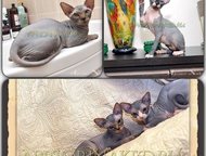 :        AprioriNaked   -  ,    