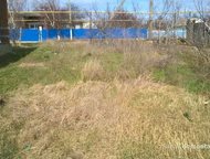 :   .         ,      . 