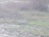 ������: ������������ � ������������. ��������� ������ ������� � ������������ ����������, ���������� �� ׸����� ���� 3 ��. ������������ ������������ � ��������