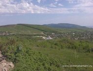   .       ,   ׸    ,  -   