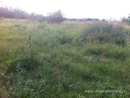 :   .         ,     200 .   . 