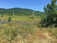 :    .         ,   ׸    