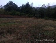 :   .        ,   ׸  5   . 