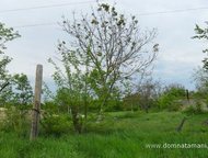   .        ,   ׸   .,  -   