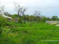 :   .        ,   ׸   .