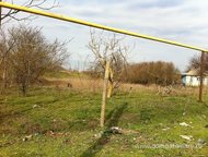 ������: ������������ � ������. ��������� ������� ��� ������������� ���� � ������ ����������� ������, ���������� �� ���������� ������ ������������ � ������. ��