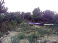 :   .        ,   ׸  4 .    . 