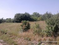   .        ,   ׸   ,  -   