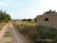   .         ,   ׸    . ,  -   