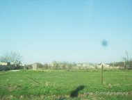 :   .         ,       . 