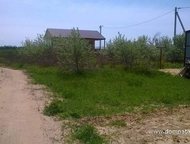 :   .       ,     800 .   . 