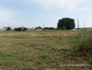 :   .         ,       . 