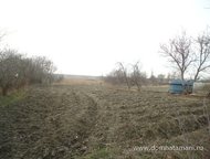   .        ,   ׸    .,  -   