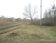 :   .        ,   ׸    .