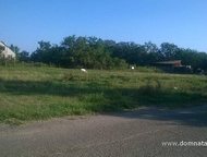 :   .         ,      . 