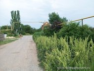 :   .         ,      . 