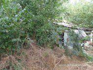   .         ,       .,  -   