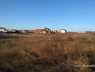 :    .          ,       . 