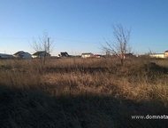 :    .          ,       . 