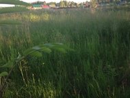 Недвижимость в деревня Чубарово. Продается земельный участок 18 соток. Московская область, Чеховский район, ДНТ Чубарово, Недвижимость в деревня Чубар, Москва - Купить земельный участок