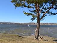 ������������ � ������������. ������ �������� �������, � 12 �� �� ����, � ������ ������� �������, ������� ������������, ������������ ������������ � ���, ������ - ������ ��������� �������