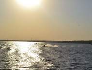   .   ,  12   ,    ,  ,    ,  -   