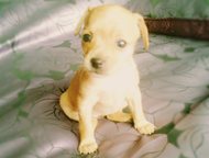  -   ,  05 , ,  , ,  .,  -  ,  