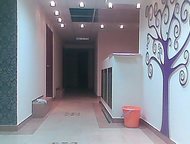                   ,  - ,  ()