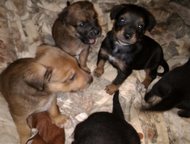  ,        16 ,   ,      , - -  ,  
