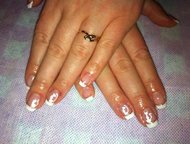 ,  , shellac  ,        .      200 .    shellac  500,  -  